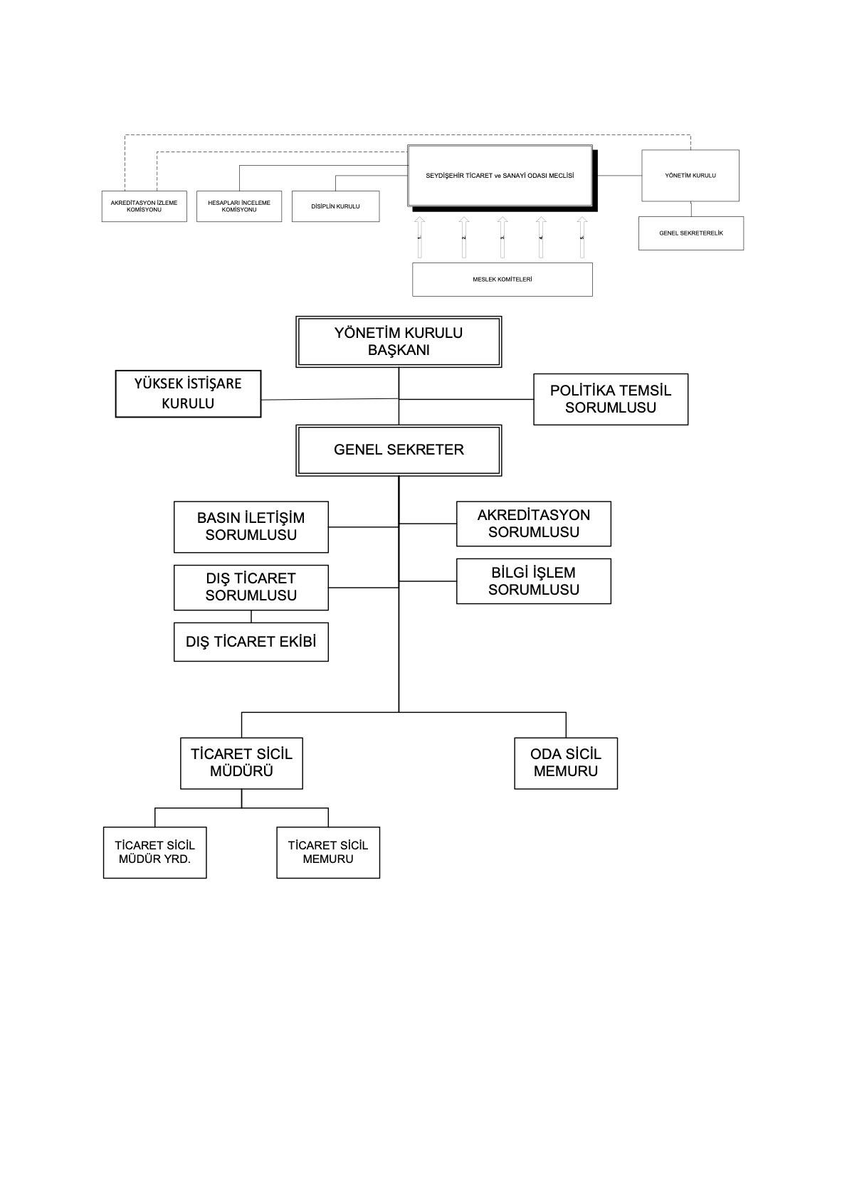 organizasyon şeması